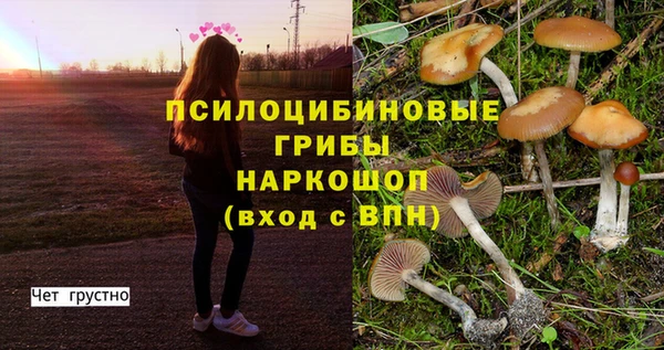 Альфа ПВП Балабаново