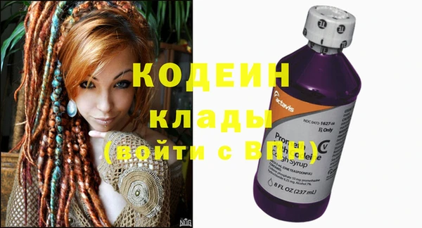 прущие грибы Балахна