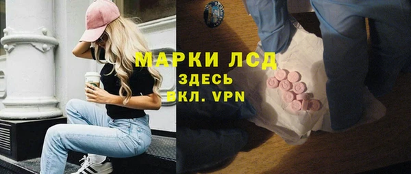 прущие грибы Балахна